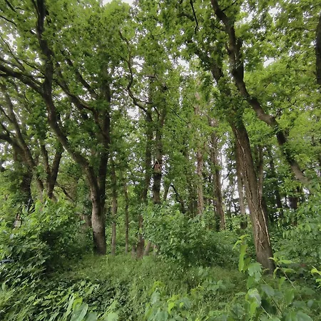 Rimmelsberg - Moderne Mit Blick Auf Den Hauseigenen